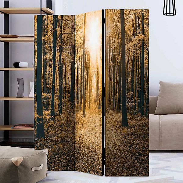 Fotoprint Paravent mit Wald Motiv Herbst Landhausstil günstig online kaufen