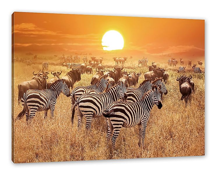 Pixxprint Leinwandbild Zebraherde Savanne bei Sonnenuntergang, günstig online kaufen