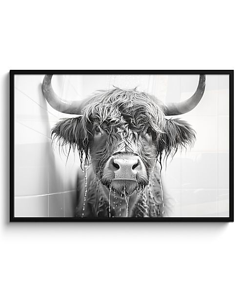 MuchoWow Poster Schottischer Highlander - Tier günstig online kaufen