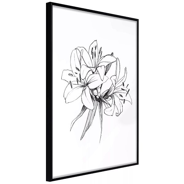 Poster - Sketch Of Lillies günstig online kaufen