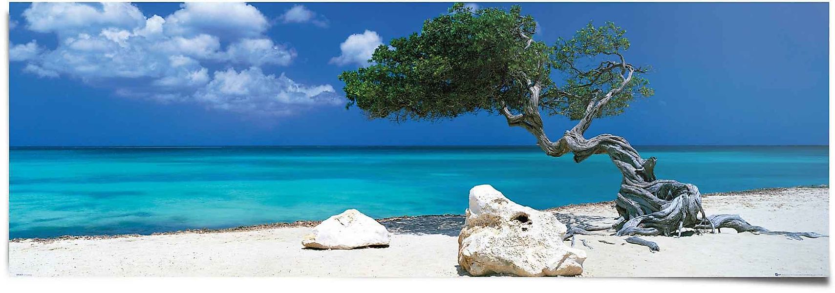Reinders Poster "Tom Mackie divi divi Baum", (1 St.) günstig online kaufen