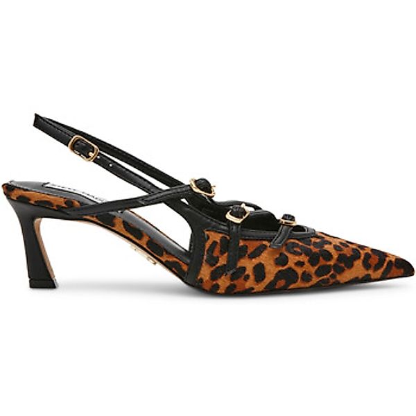 Steve Madden  Pumps Escarpins femme  Liana-L günstig online kaufen