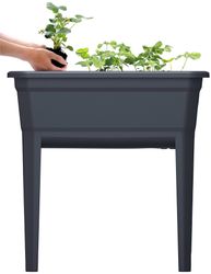 Prosperplast Hochbeet "Respana Ecoline Set", BxTxH: 59,6x36,8x75,3 cm, 3in1 günstig online kaufen