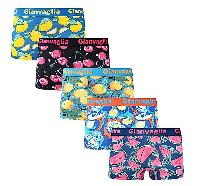 Holland Underwear Boxershorts 5er Pack Deluxe Damen Boxershort Slips Panty günstig online kaufen