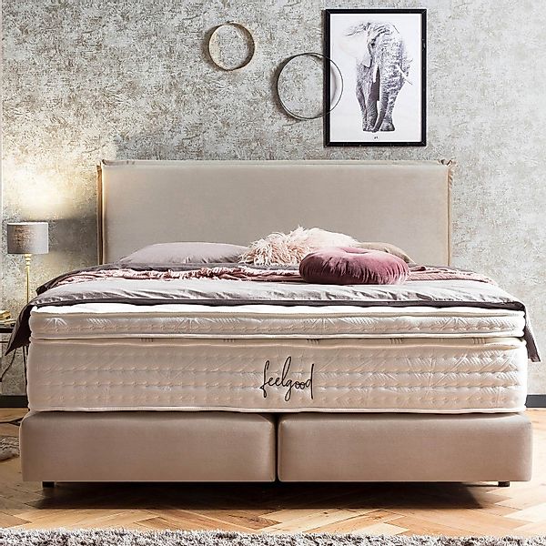 BettCo Boxspringbett London (in Beige Samt, günstig online kaufen