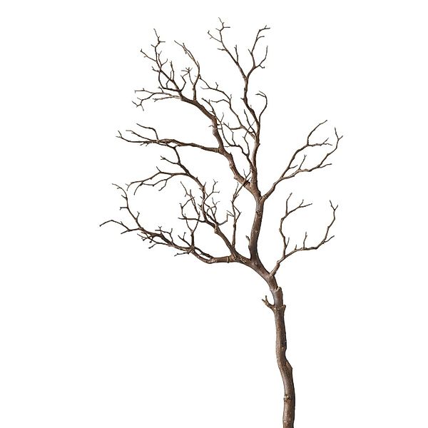 Kunstzweig Dekozweig, Treibholz, 93 cm hoch, günstig online kaufen