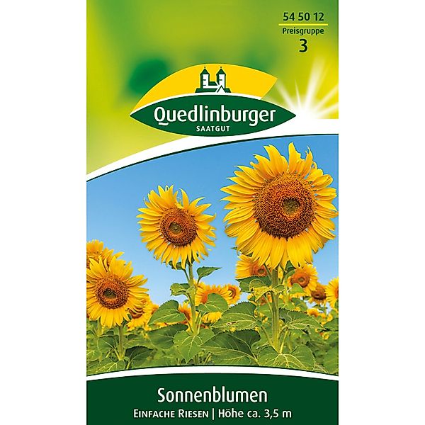Quedlinburger Sonnenblume ''einfache Quedlinburger Riesen'' günstig online kaufen
