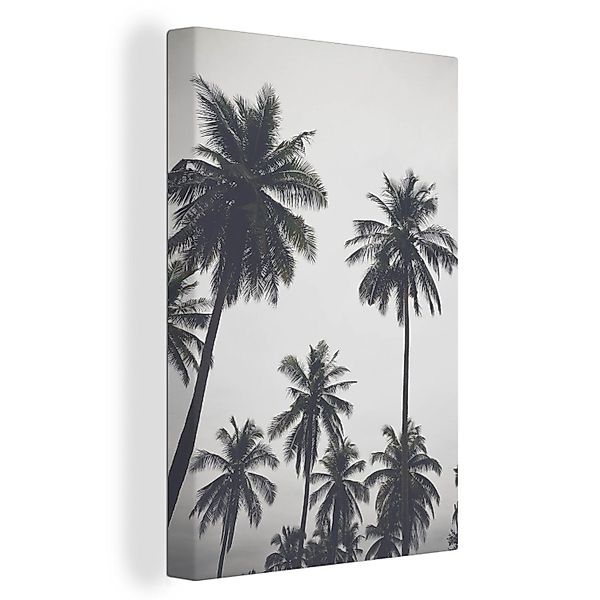 OneMillionCanvasses® Leinwandbild Palme - Tropisch - günstig online kaufen