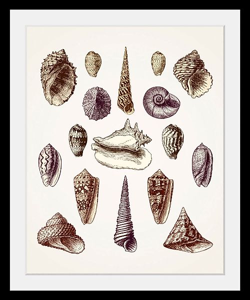 queence Bild »Karl«, Meer-Wassertiere-Kunst, (1 St.), HD Premium Poster-Dru günstig online kaufen