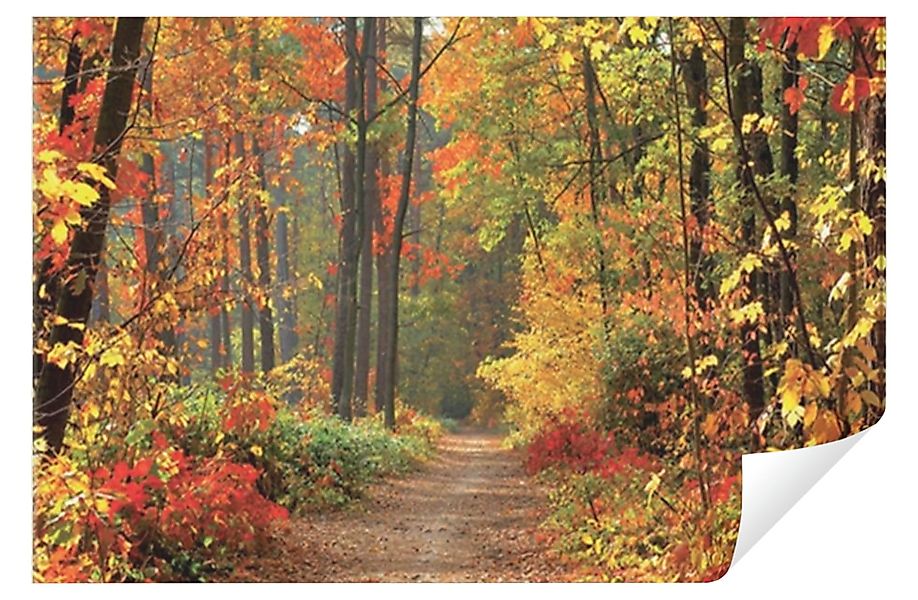 Wallarena Fototapete Wald Natur Baum Tapete günstig online kaufen