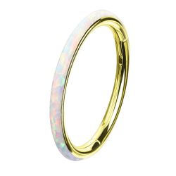 Taffstyle Nasenpiercing Piercing Segmentring Scharnier Clicker günstig online kaufen