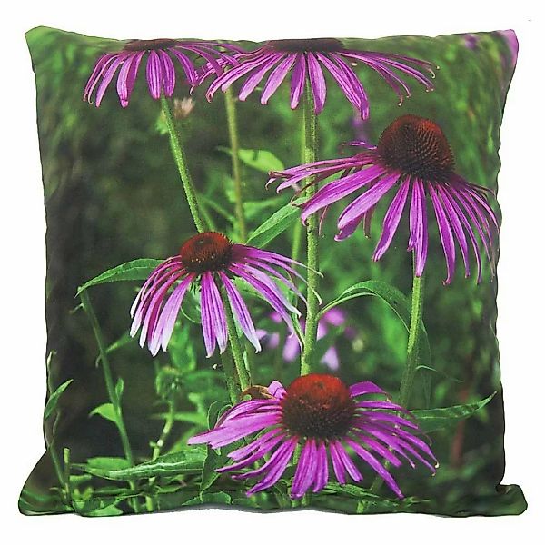 Outdoor Kissen Sonnenhut Lila Blume Gartenkissen Wasserabweisend 50 x 50 cm günstig online kaufen