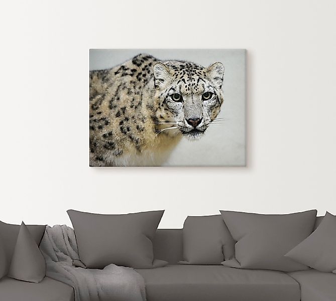 Artland Wandbild »Schneeleopard«, Wildtiere, (1 St.), als Alubild, Outdoorb günstig online kaufen