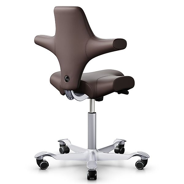 HAG CAPISCO 8106 | Leder braun | Gestell silber günstig online kaufen