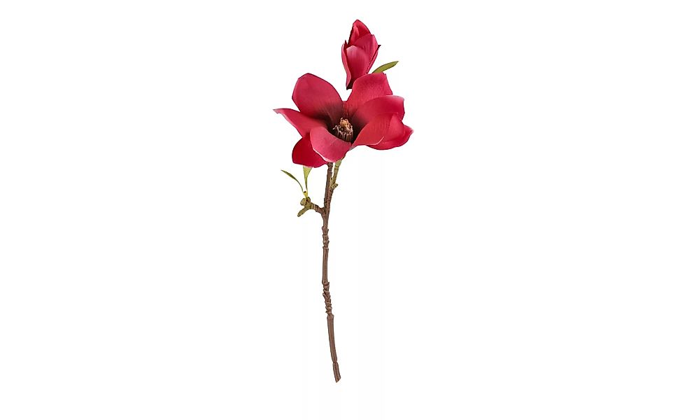 Magnolienblütenzweig - rosa/pink - Kunststoff - 36 cm - Dekoration > Kunstb günstig online kaufen