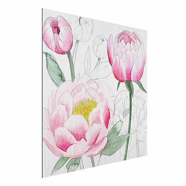 Alu-Dibond Bild Blumen - Quadrat Zeichnung Rosa Päonien II günstig online kaufen