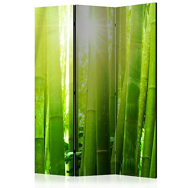 3-teiliges Paravent - Sun And Bamboo [room Dividers] günstig online kaufen
