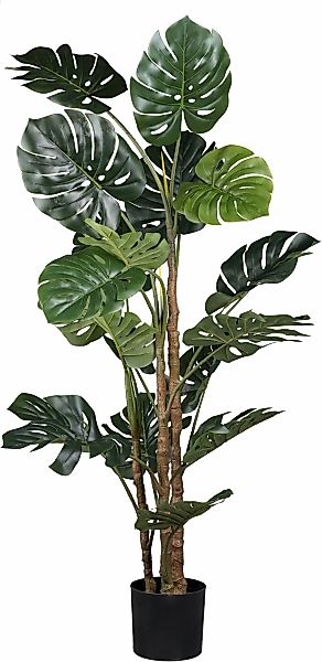 Künstliche Zimmerpflanze Philodendron Scandens Grünpflanze, Creativ günstig online kaufen