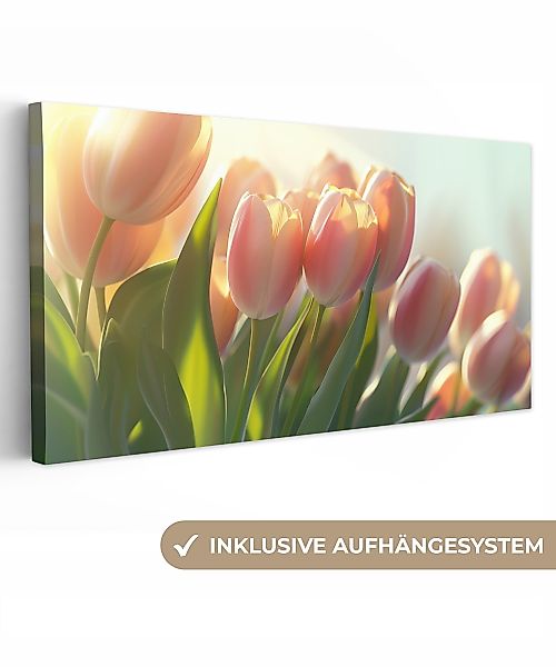 OneMillionCanvasses® Leinwandbild Panorama Tulpen - Rosa günstig online kaufen