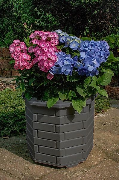 DSH DEKO SHOP HANNUSCH Blumenkasten Bk6r günstig online kaufen