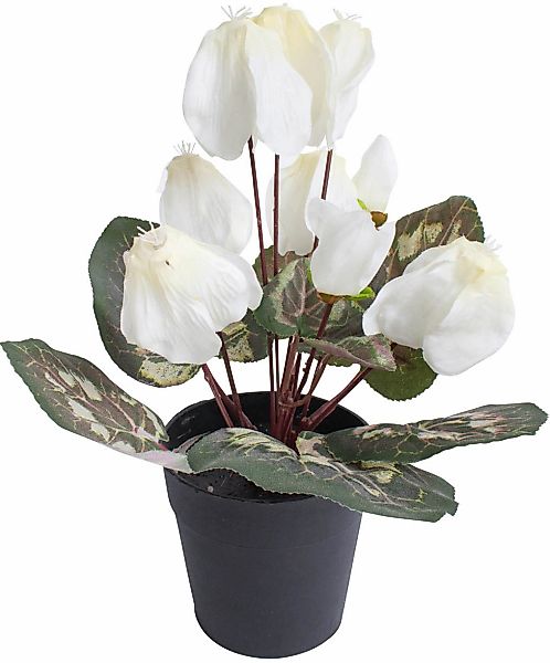 Botanic-Haus Kunstblume "Alpenveilchen" günstig online kaufen