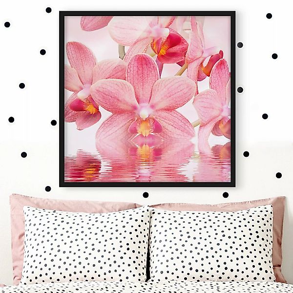 Bild mit Rahmen - Quadrat Rosa Orchideen auf Wasser günstig online kaufen