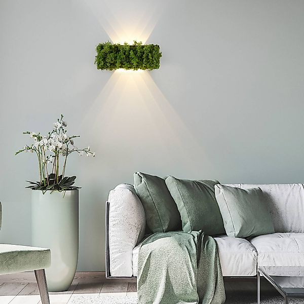 JUST LIGHT Wandleuchte »GREEN CARL«, 6 flammig günstig online kaufen