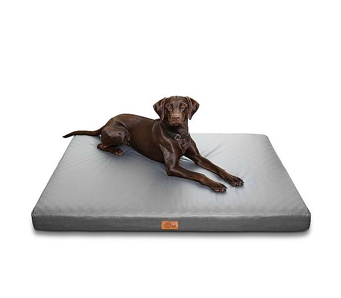 yourGEAR Hundematte your GEAR Biella 120x80x10 cm orthopädisches Hundebett, günstig online kaufen