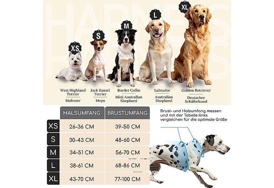 Freudentier Hunde-Geschirr mit Mesh-Polsterung, Hundegeschirr grosse Hunde günstig online kaufen