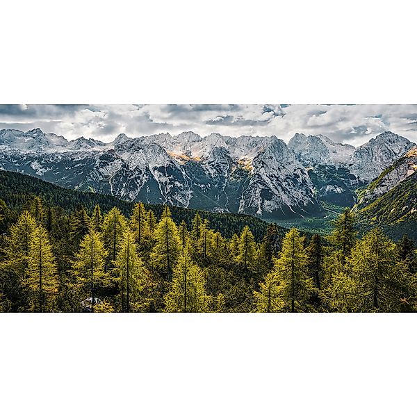 Sanders & Sanders Poster Landschaft Grün und Grau 200 x 100 cm 612570 günstig online kaufen