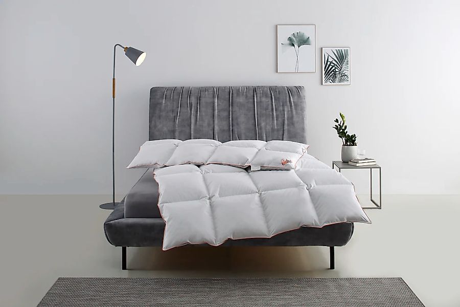 RIBECO Daunenbettdecke "Richard, Bettdecken für Sommer oder Winter, Made in günstig online kaufen