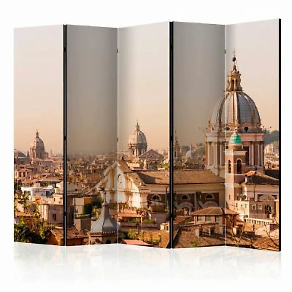 artgeist Paravent Rome - bird's eye view II [Room Dividers] braun Gr. 225 x günstig online kaufen
