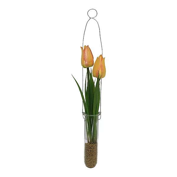 Tulpe i. Reagenzglas ca. 28cm, orange günstig online kaufen
