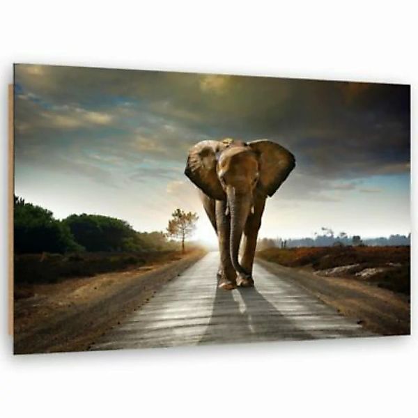 FEEBY® Kunst Elefant auf der Straße Leinwandbilder bunt Gr. 60 x 40 günstig online kaufen