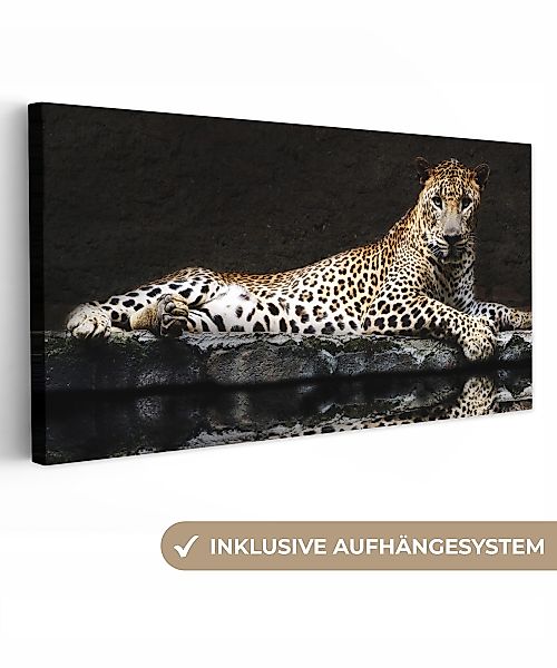 OneMillionCanvasses® Leinwandbild Panorama Leopard - Wasser günstig online kaufen
