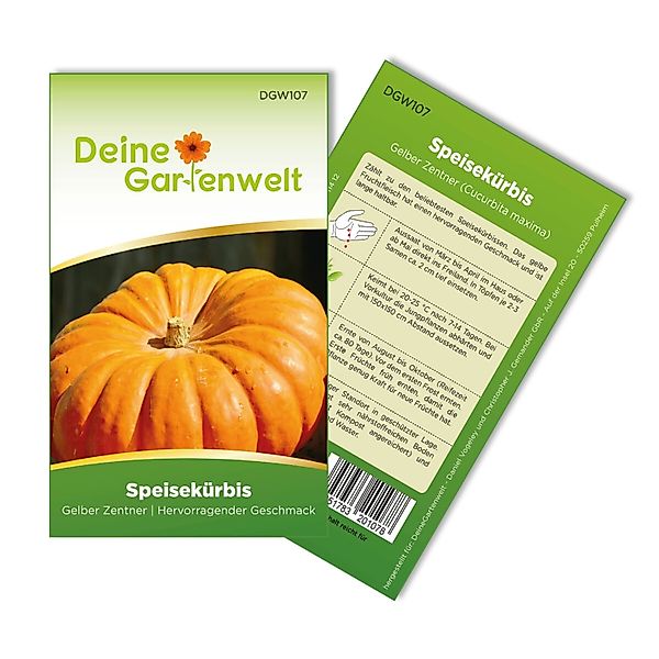Deine Gartenwelt Kürbis Gelber Zentner Samen günstig online kaufen