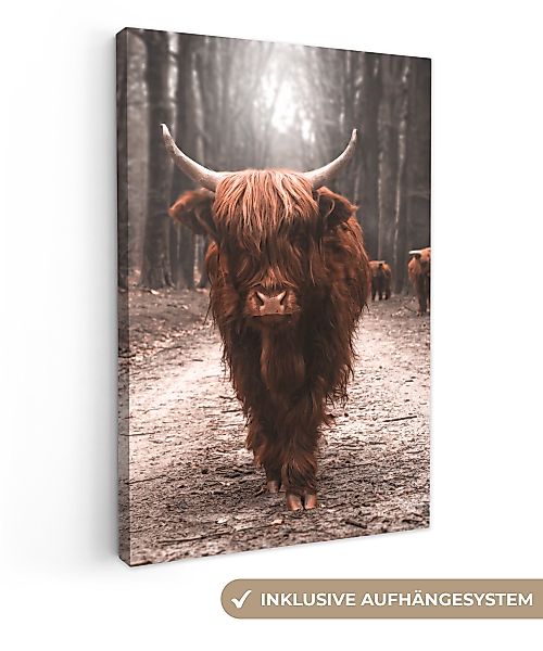 OneMillionCanvasses® Leinwandbild Schottischer Highlander - Tier günstig online kaufen