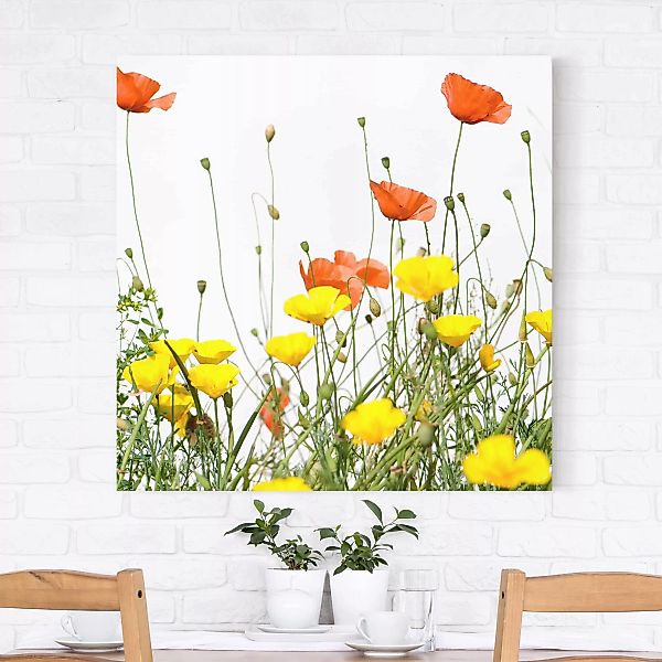 Leinwandbild - Quadrat Wild Flowers günstig online kaufen