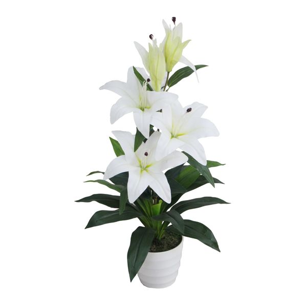 Kunstpflanze SMARAGDLINE künstliche Grünpflanzen in verschiedenen günstig online kaufen