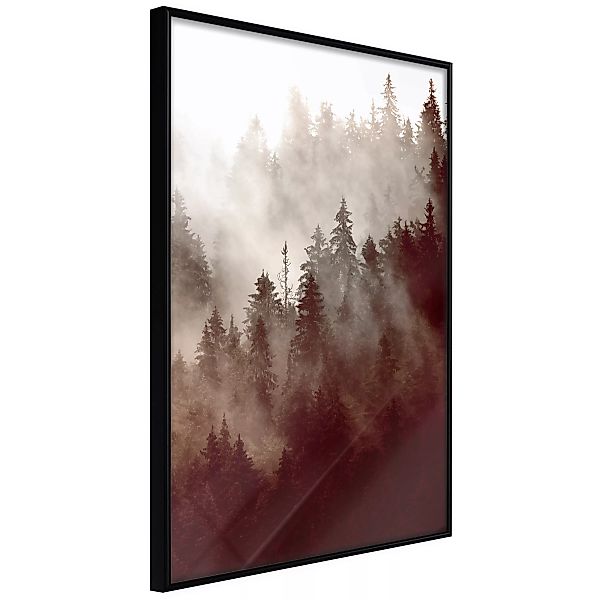 Poster - Forest Fog günstig online kaufen