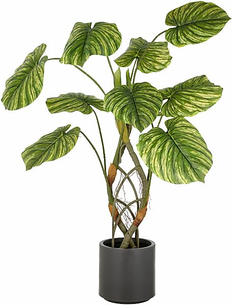 Creativ green Kunstpflanze "Philodendron mamei", mit naturgetreuer Gestaltu günstig online kaufen