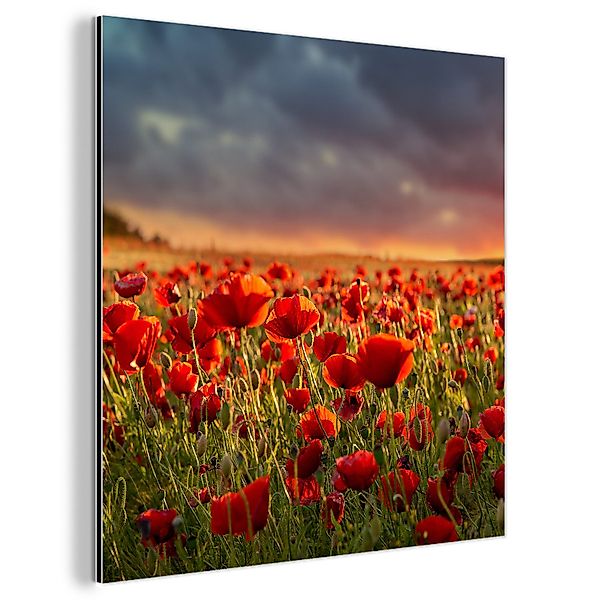 MuchoWow Metallbild Sonnenuntergang - Mohnblumen - günstig online kaufen