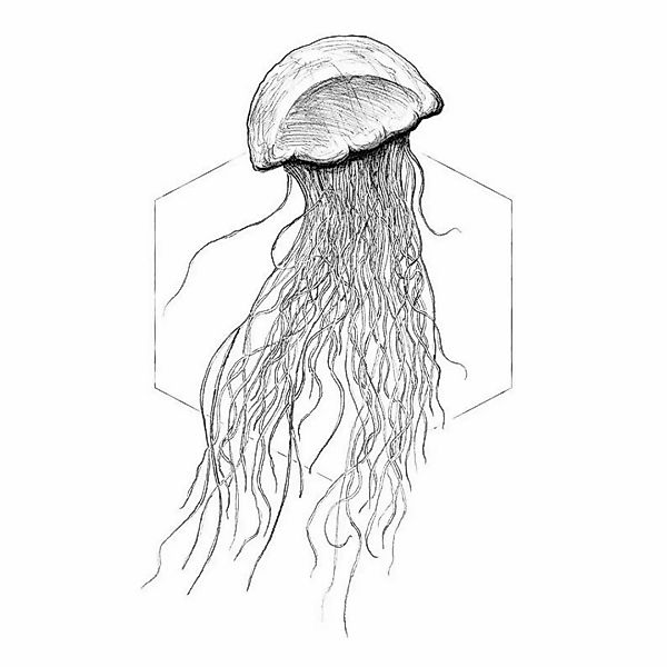 Komar Poster Jellyfish White Tiere B/L: ca. 30x40 cm günstig online kaufen