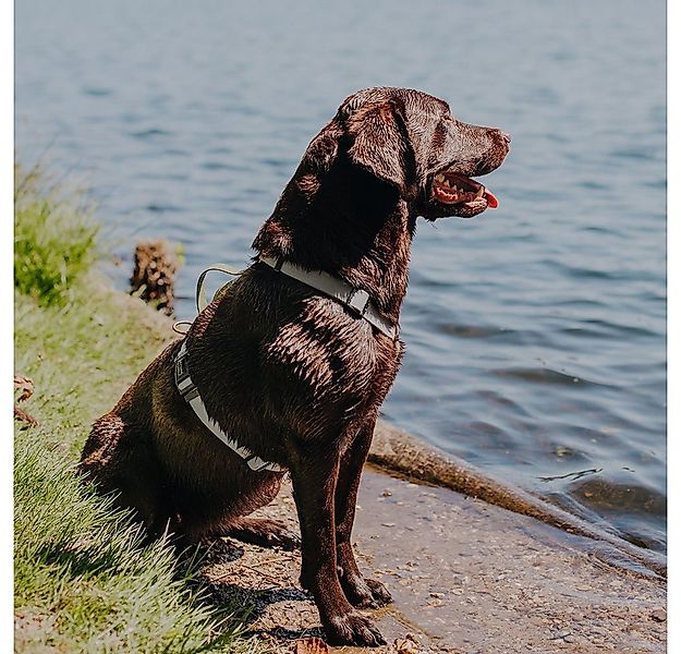 Hey Lana Hunde-Geschirr Hundegeschirr - Biothane (5-fach verstellbar) - mit günstig online kaufen