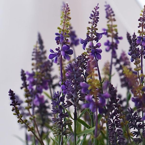 Kunstpflanze Kunststoff LAVANDULA Rund - Grün, günstig online kaufen