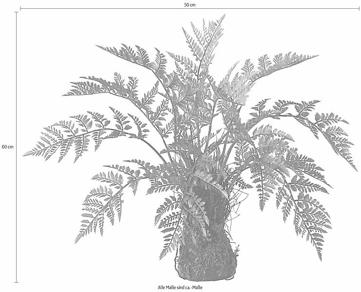 Kunstpflanze Farn, Creativ green, Höhe 50 cm günstig online kaufen