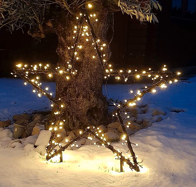 my home LED Stern "Caden, Weihnachtsstern, Weihnachtsdeko mit 230 LEDs" War günstig online kaufen