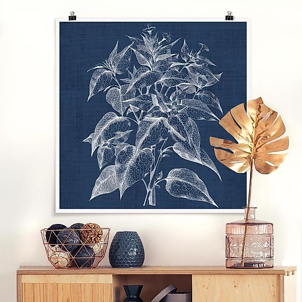 Poster Blumen - Quadrat Denim Pflanzenstudie III günstig online kaufen