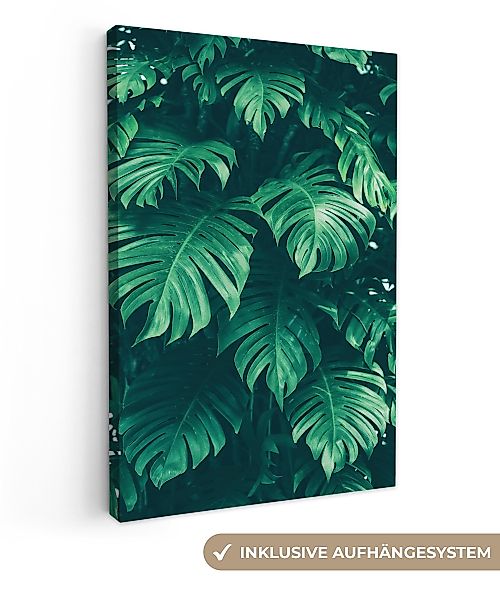 OneMillionCanvasses® Leinwandbild Monstera - Blätter - günstig online kaufen