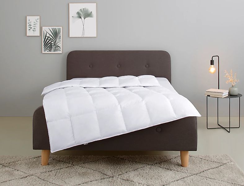 my home Federbettdecke "Irah Bettdecke 135x200 cm, 155x220 cm und 200x200 c günstig online kaufen